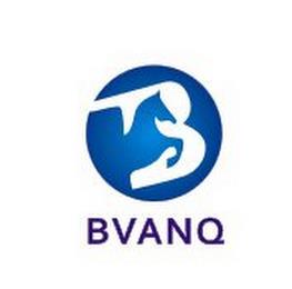 BVANQ trademark