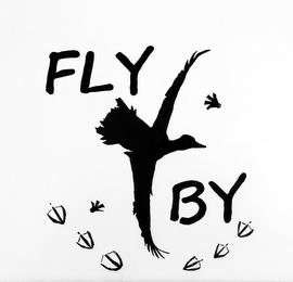 FLY BY trademark