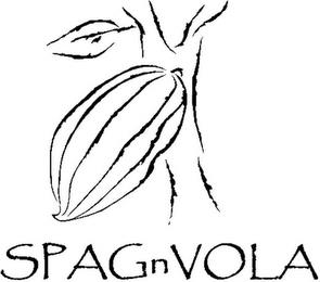 SPAGNVOLA trademark