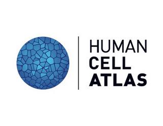 HUMAN CELL ATLAS trademark