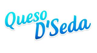 QUESO D'SEDA trademark