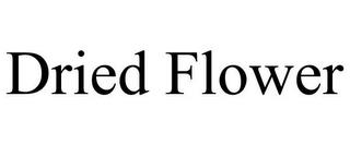 DRIED FLOWER trademark