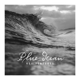 BLUE OCEAN KEY VENTURES trademark