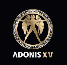 ADONIS XV trademark