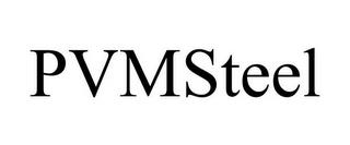 PVMSTEEL trademark