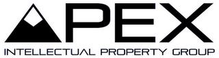 APEX INTELLECTUAL PROPERTY GROUP trademark