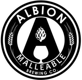 A ALBION MALLEABLE BREWING CO. trademark