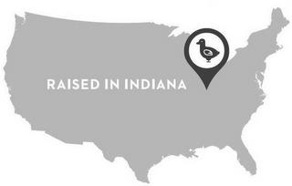 RAISED IN INDIANA trademark