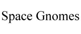 SPACE GNOMES trademark