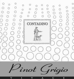 CONTADINO PINOT GRIGIO VIVACE trademark