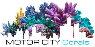 MOTOR CITY CORALS trademark