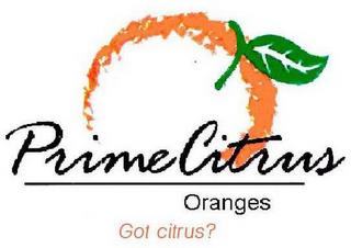 PRIME CITRUS ORANGES GOT CITRUS? trademark