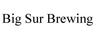 BIG SUR BREWING trademark