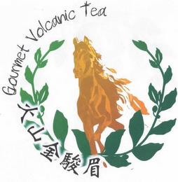 GOURMET VOLCANIC TEA trademark