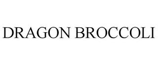 DRAGON BROCCOLI trademark