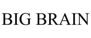 BIG BRAIN trademark