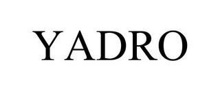 YADRO trademark