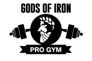 GODS OF IRON PRO GYM trademark