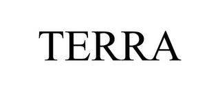 TERRA trademark