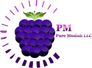 PM PURE MODISH LLC trademark