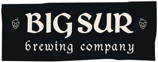 BIG SUR BREWING COMPANY trademark