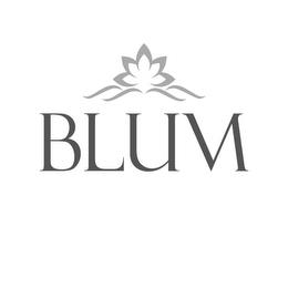 BLUM trademark