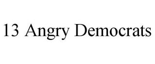 13 ANGRY DEMOCRATS trademark