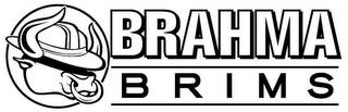 BRAHMA BRIMS trademark