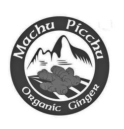 MACHU PICCHU ORGANIC GINGER trademark