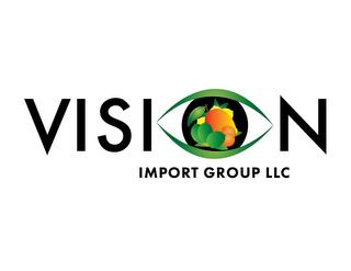 VISION IMPORT GROUP LLC trademark