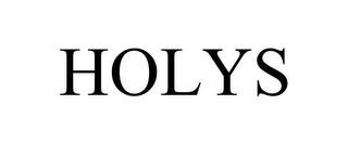 HOLYS trademark