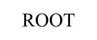 ROOT trademark