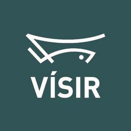 VÍSIR trademark