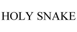 HOLY SNAKE trademark