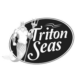 TRITON SEAS trademark