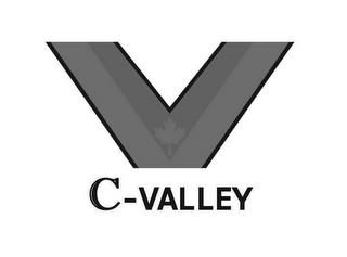 V C-VALLEY trademark