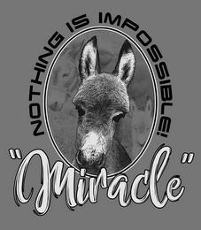 NOTHING IS IMPOSSIBLE! "MIRACLE" trademark