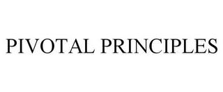 PIVOTAL PRINCIPLES trademark