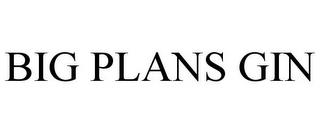 BIG PLANS GIN trademark