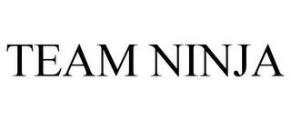 TEAM NINJA trademark