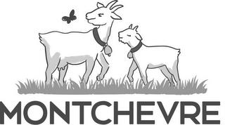 MONTCHEVRE trademark