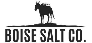 BOISE SALT CO. trademark