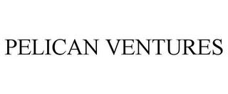 PELICAN VENTURES trademark