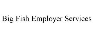 BIG FISH EMPLOYER SERVICES trademark