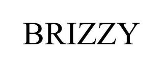 BRIZZY trademark