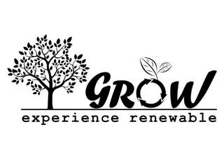 GROW EXPERIENCE RENEWABLE trademark