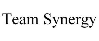 TEAM SYNERGY trademark