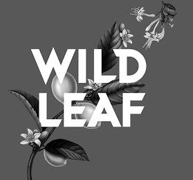 WILD LEAF trademark