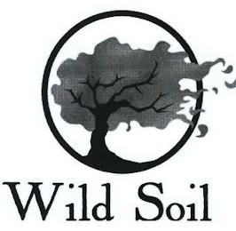 WILD SOIL trademark