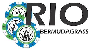 RIO BERMUDAGRASS trademark